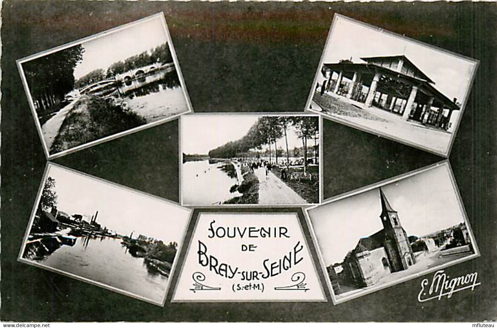 77* BRAY SUR SEINE  Souvenir  Multivues    (CPSM 9x14cm)   RL08.0415 - Bray Sur Seine