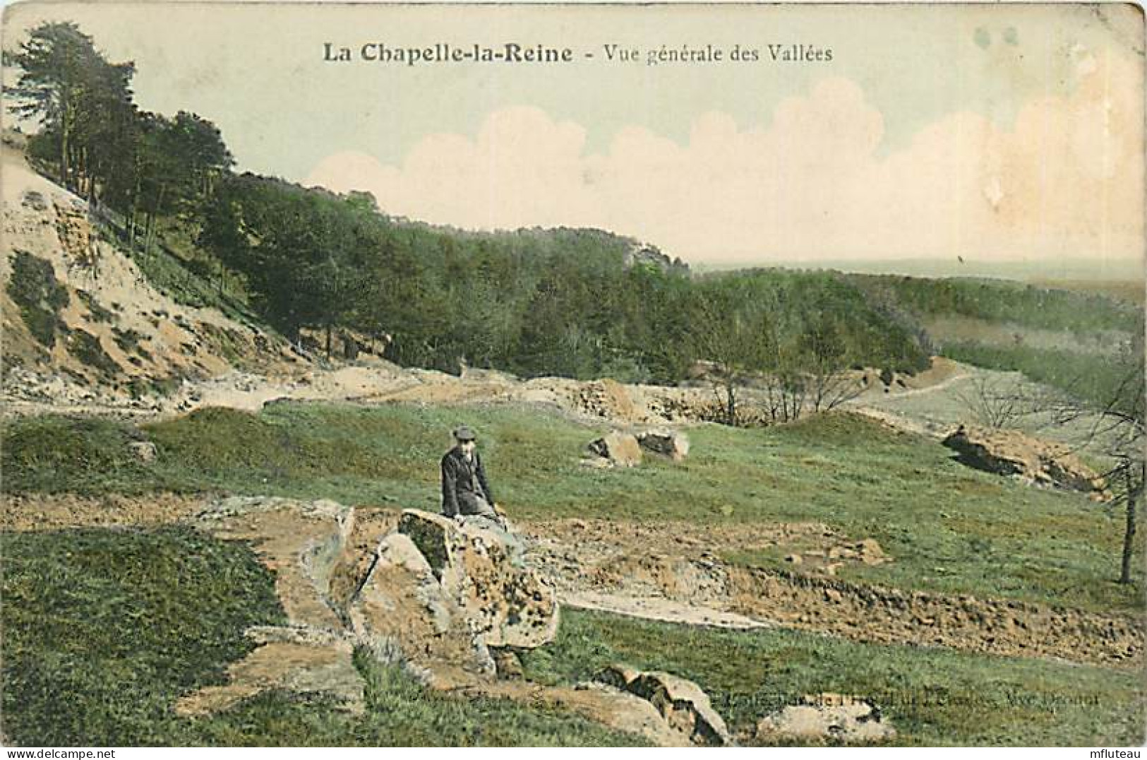 77* LA CHAPELLE LA REINE Vue Generale  Des Vallees          RL08.0385 - La Chapelle La Reine