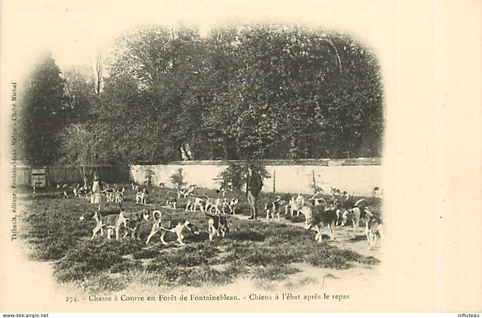 77* FONTAINEBLEAU Chasse A Courre  Chiens A L Ebat     RL08.0247 - Hunting