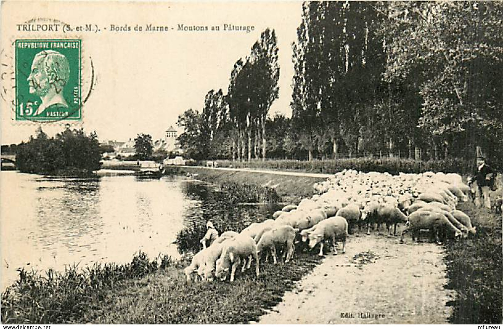 77* TRILPORT Moutons Au Paturage  RL08.0203 - Breeding
