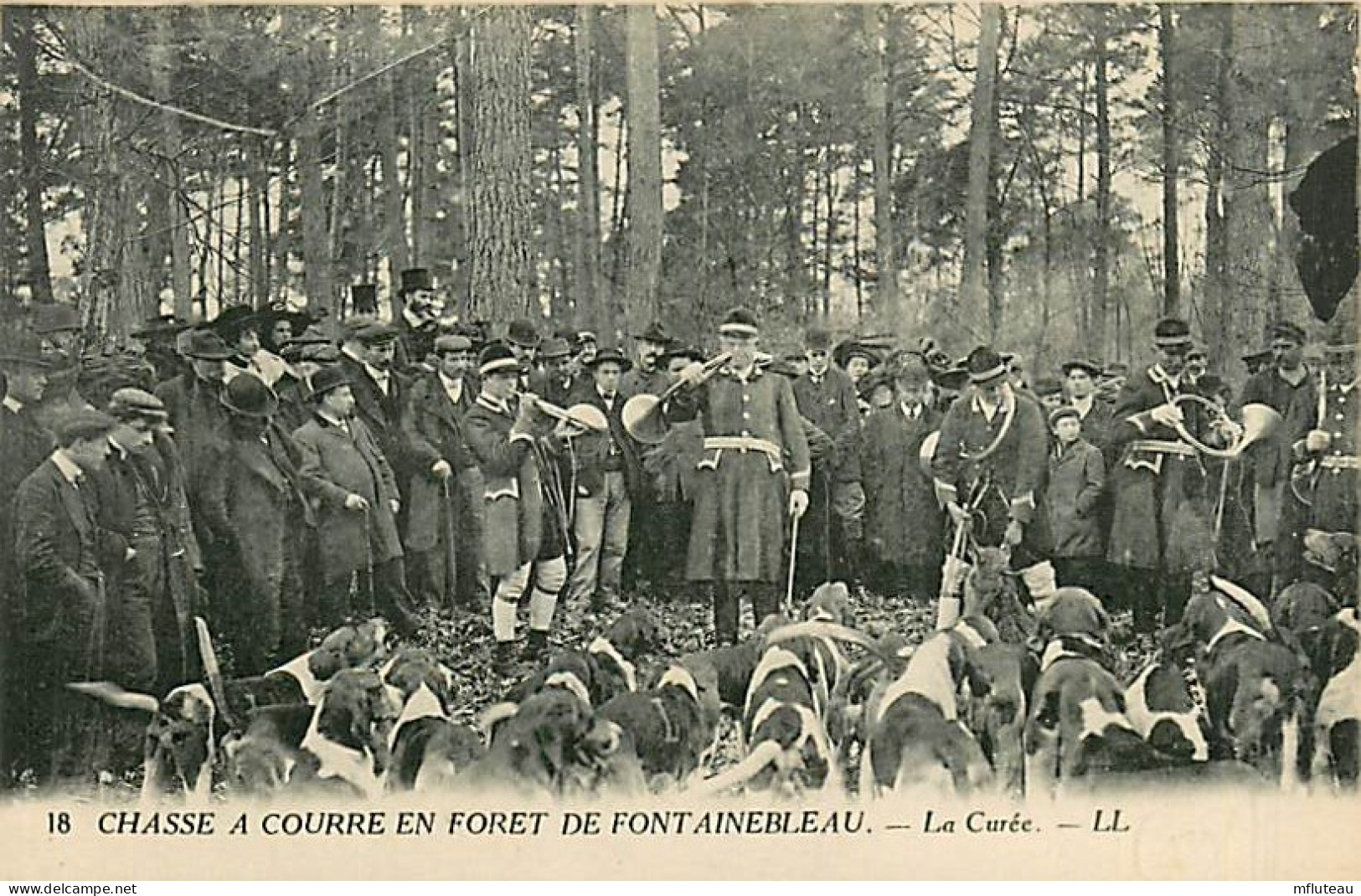 77* FONTAINEBLEAU Chasse A Courre la Curee   RL08.0157 - Hunting