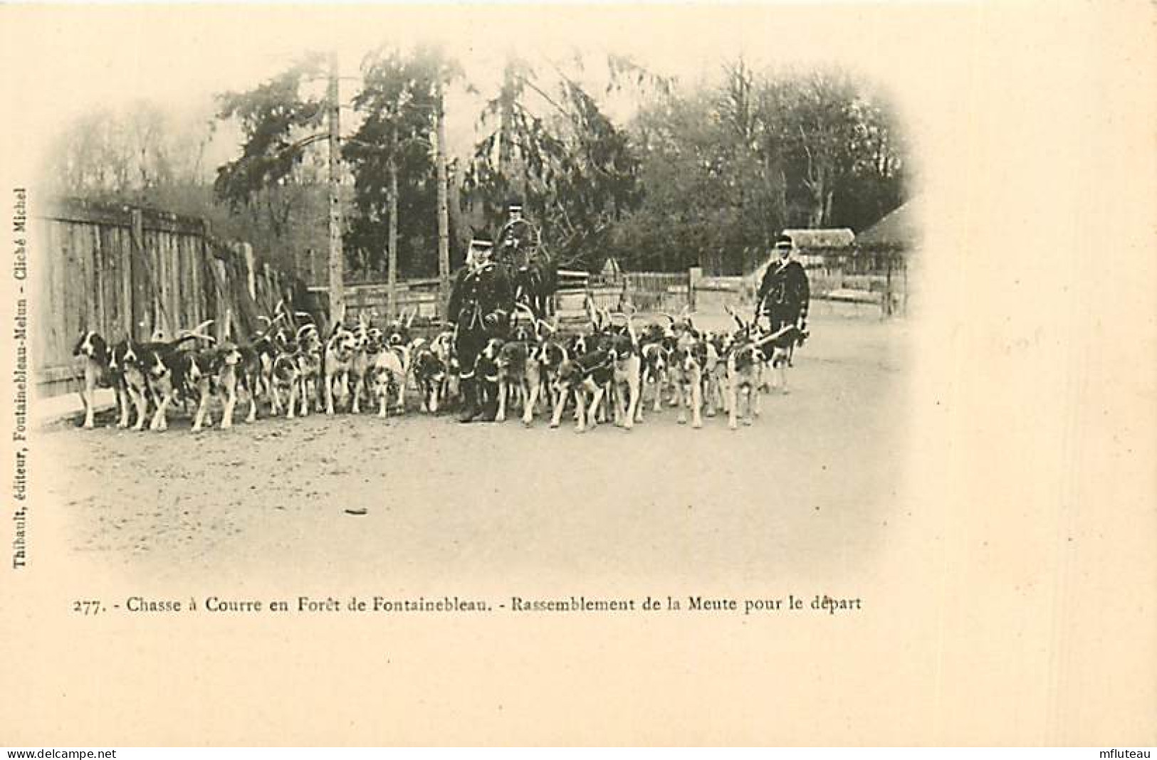 77* FONTAINEBLEAU Chasse A Courre  Rassemblement De La Meute  RL08.0154 - Chasse