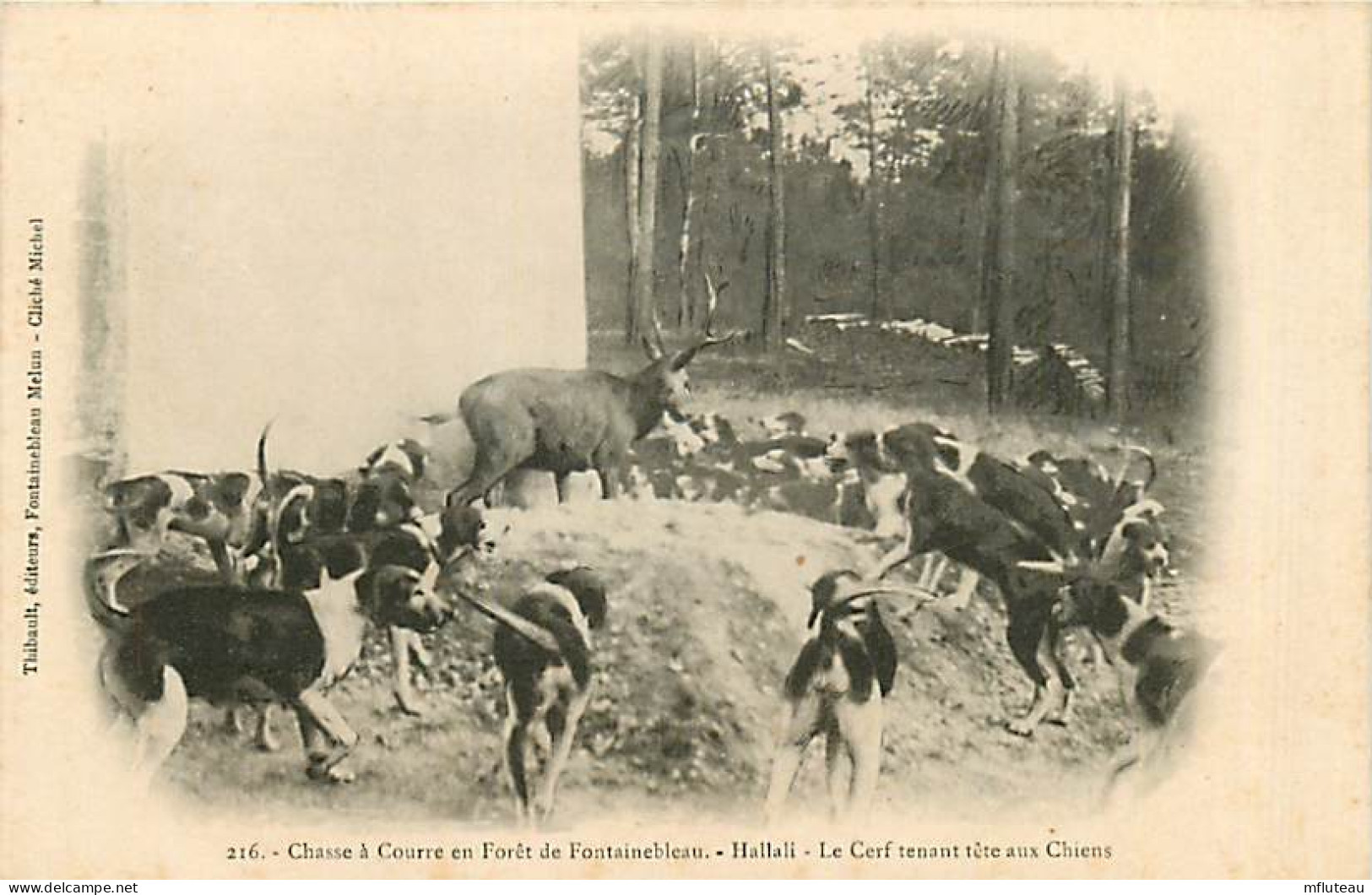 77* FONTAINEBLEAU Chasse A Courre   Hallali   RL08.0638 - Hunting