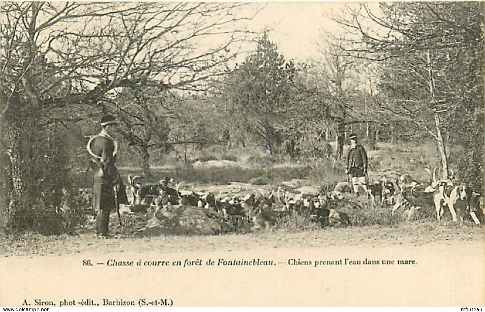 77* FONTAINEBLEAU Chasse A Courre  Chiens  Prenant L Eau            RL08.0633 - Hunting