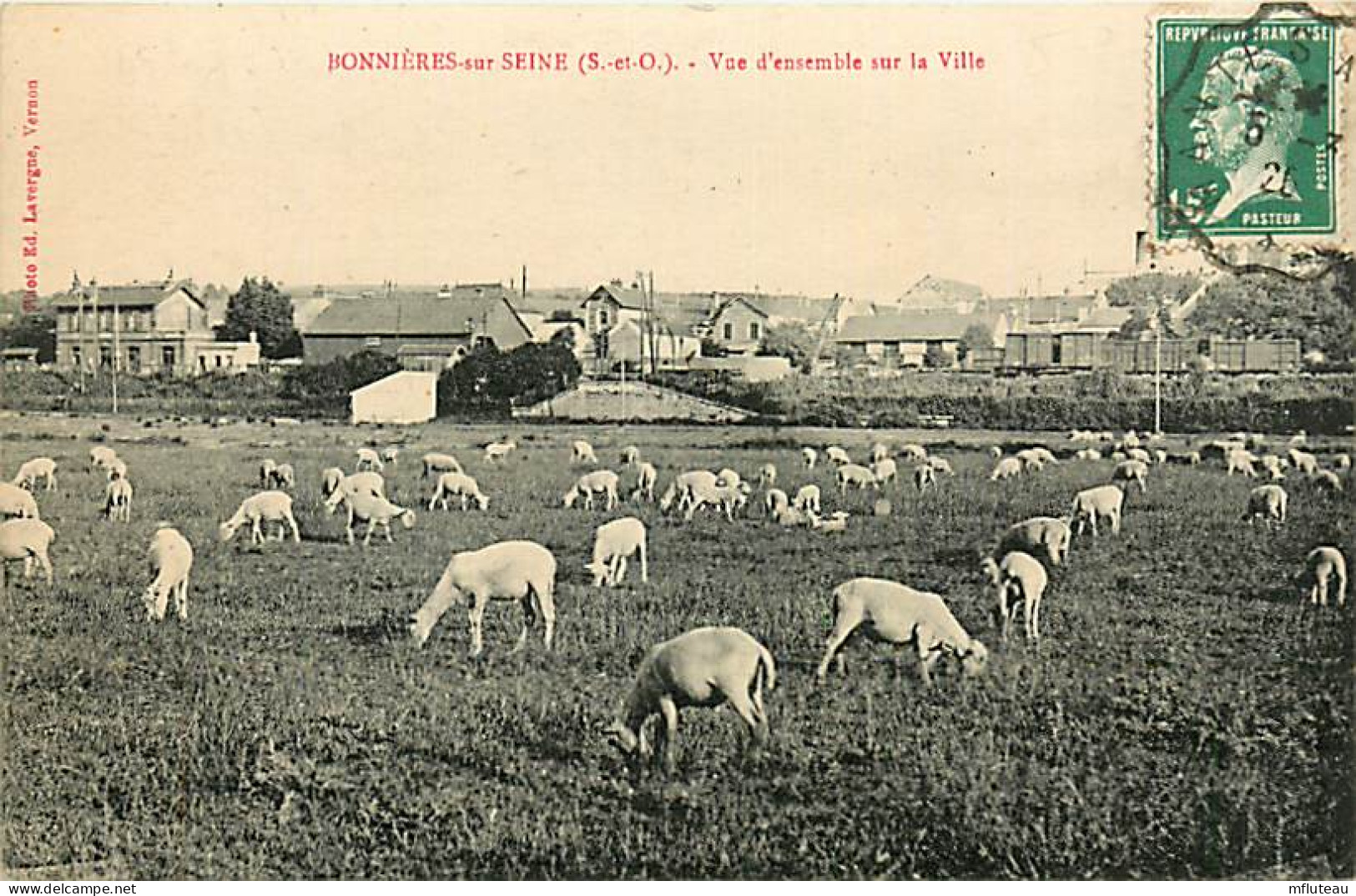78* BONNIERES SUR SEINE   Vue Generale   - Moutons        RL08.1271 - Bonnieres Sur Seine