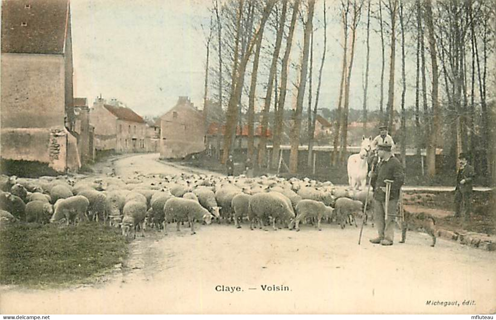 77* CLAYE   Voisin  Moutons           RL08.1163 - Breeding