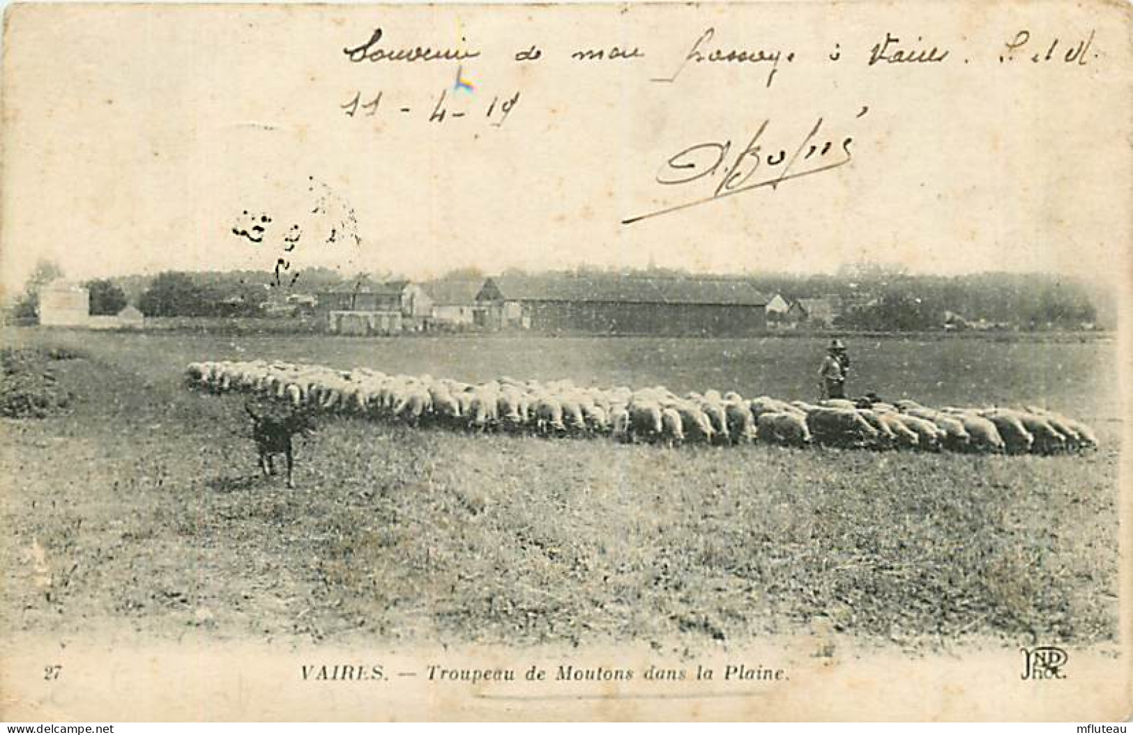 77* VAIRES Moutons         RL08.1133 - Viehzucht