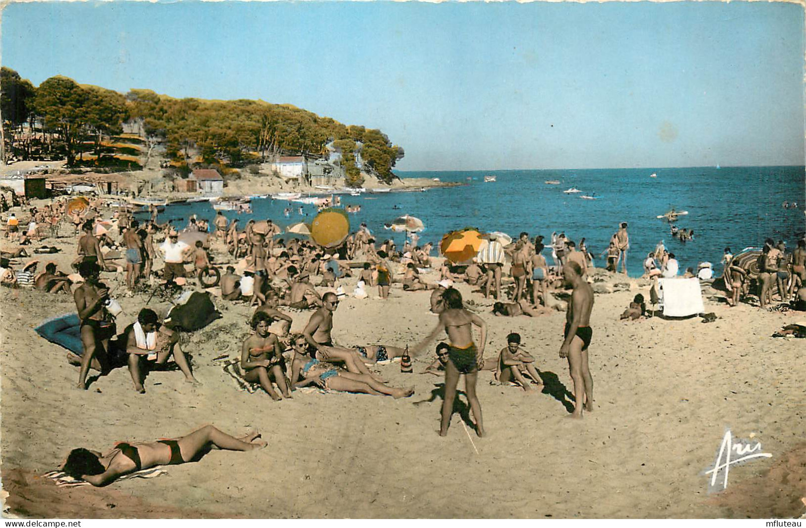 83* LE LAVANDOU  - La Faviere  Plage - (CPSM 9x14cm)      RL09.0693 - Le Lavandou