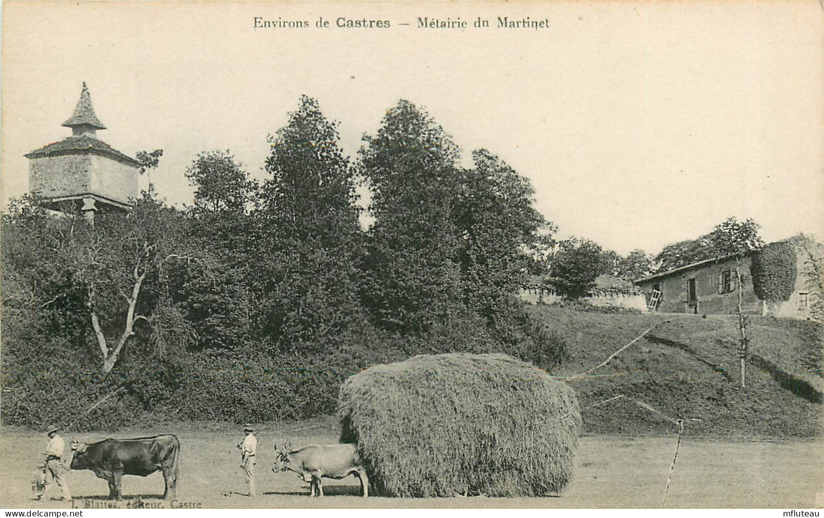 81* CASTRES Metairie Du Martinet  - Fenaison       RL09.0563 - Castres