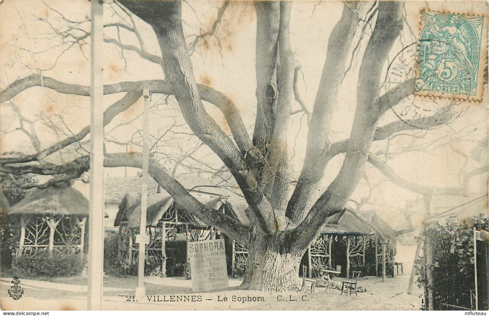 78* VILLENNES Le Sophora        RL09.0397 - Villennes-sur-Seine