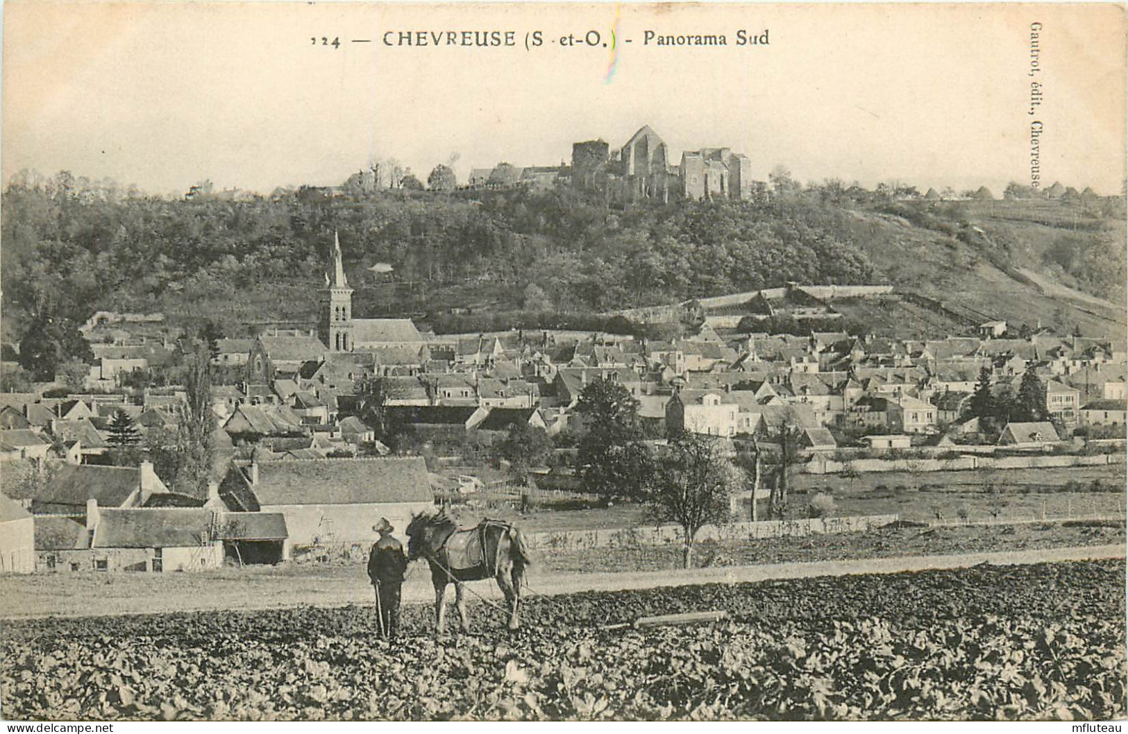 78* CHEVREUSE Vue Generale  Sud      RL09.0323 - Chevreuse