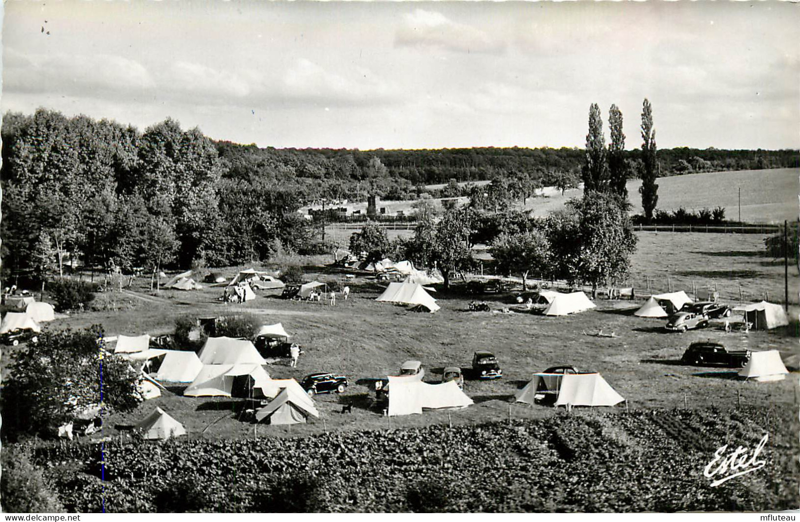 78* ST ARNOULT EN YVELINES  Plage  Camping (CPSM 9x14cm)       RL09.0231 - St. Arnoult En Yvelines