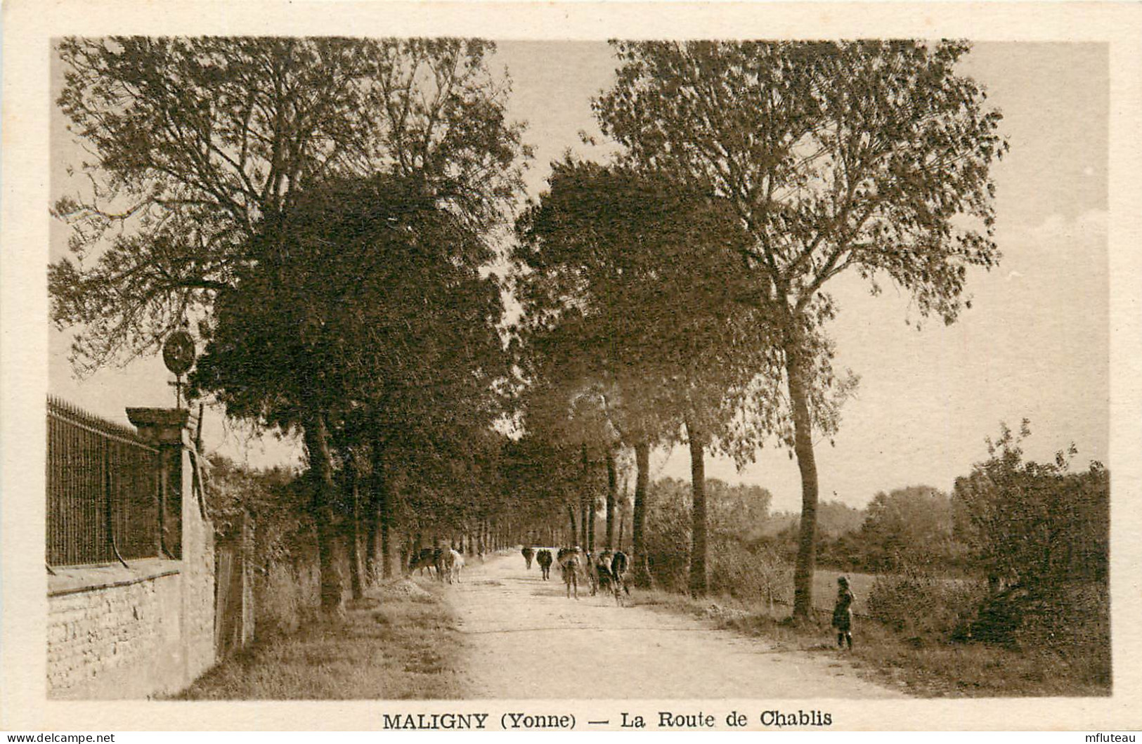 89* MALIGNY Route De Chablis         RL09.1286 - Other & Unclassified