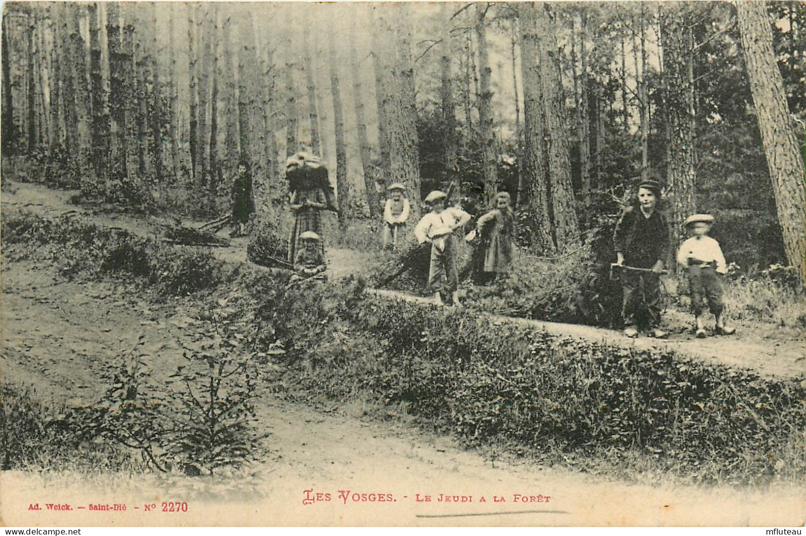 88* VOSGES Le Jeudi A La Foret        RL09.1206 - Autres & Non Classés