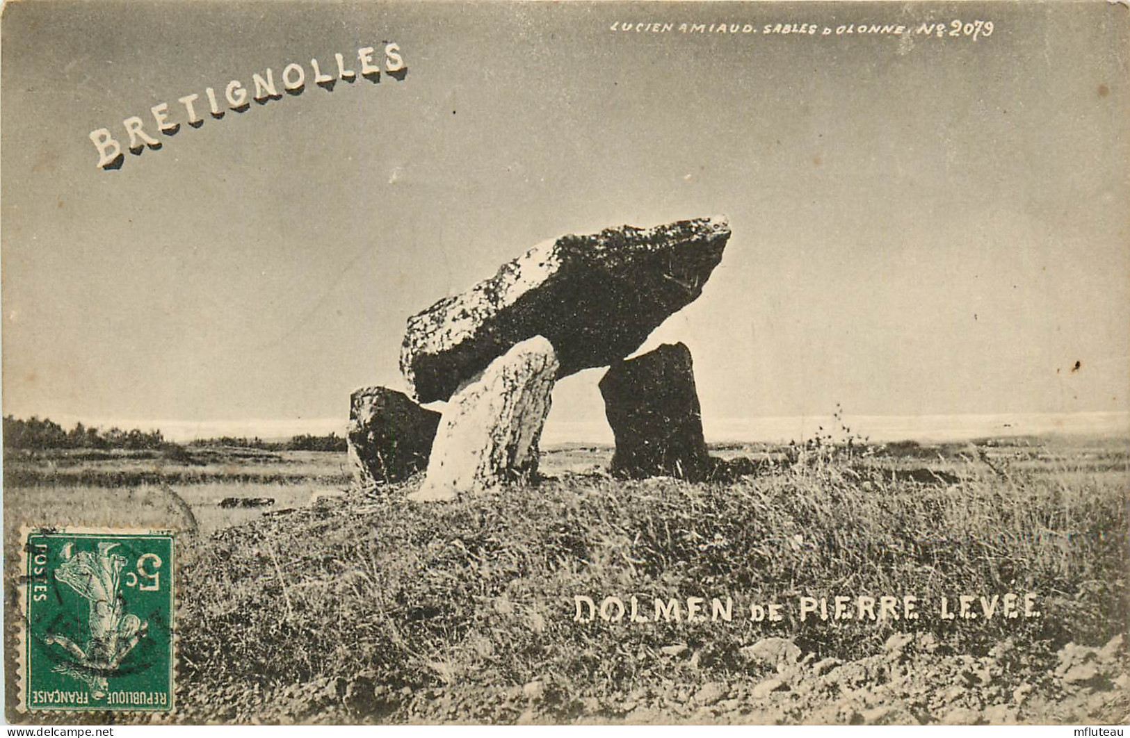 85* BRETIGNOLLES  Dolmen Pierre Levee       RL09.0861 - Bretignolles Sur Mer