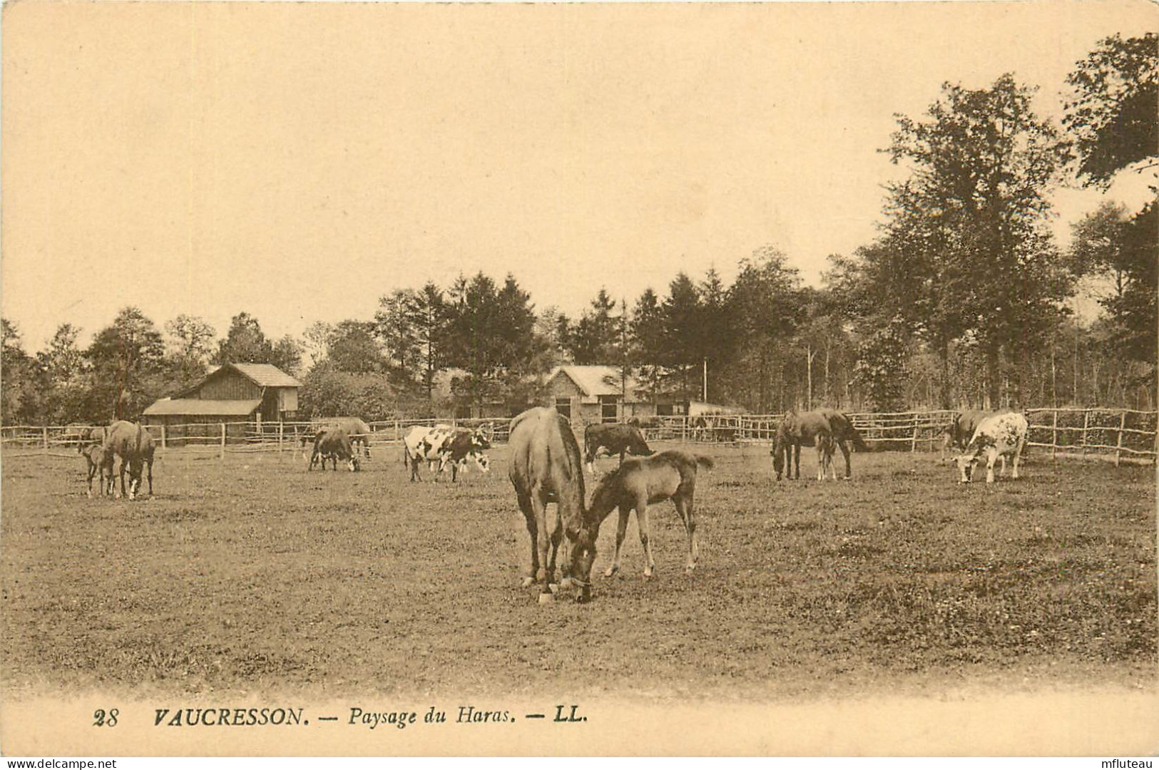 92* VAUCRESSON Paysage Du Haras       RL10.0622 - Vaucresson