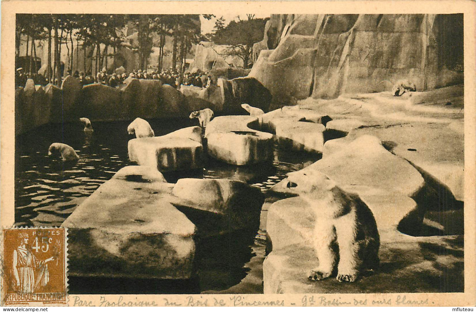 75* PARIS Museum Histoire Naturelle  Ours Blancs       RL10.1060 - Autres & Non Classés