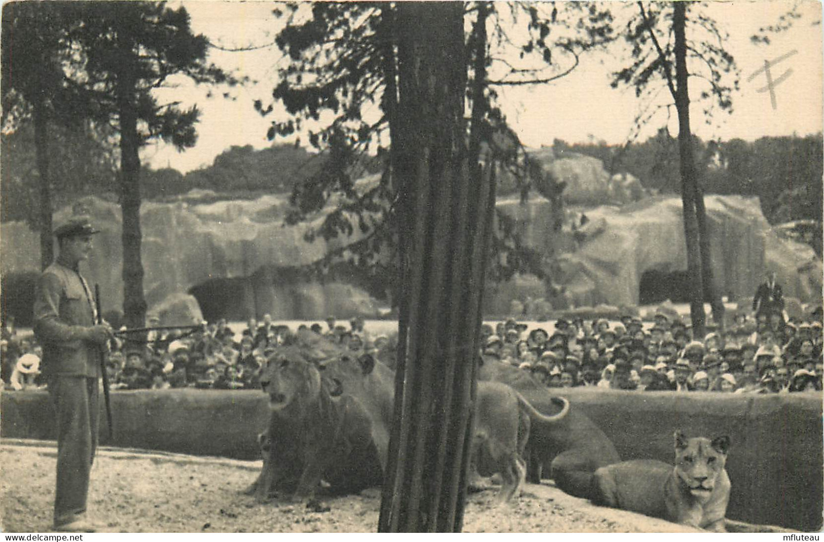94* VINCENNES Zoo  Les Lions      RL10.1043 - Vincennes