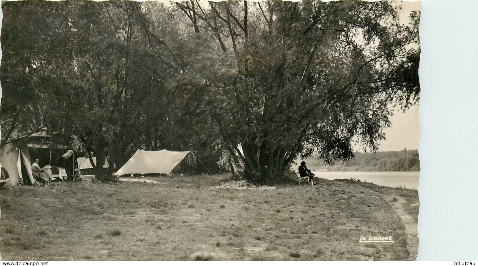 45* JARGEAU Camping  (CPSM 9x14cm)     RL11.0229 - Jargeau