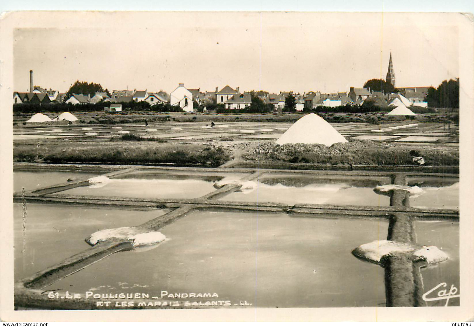 44* LE POULIGUEN   Marais Salants  (CPSM 9x14cm)   RL11.0024 - Le Pouliguen