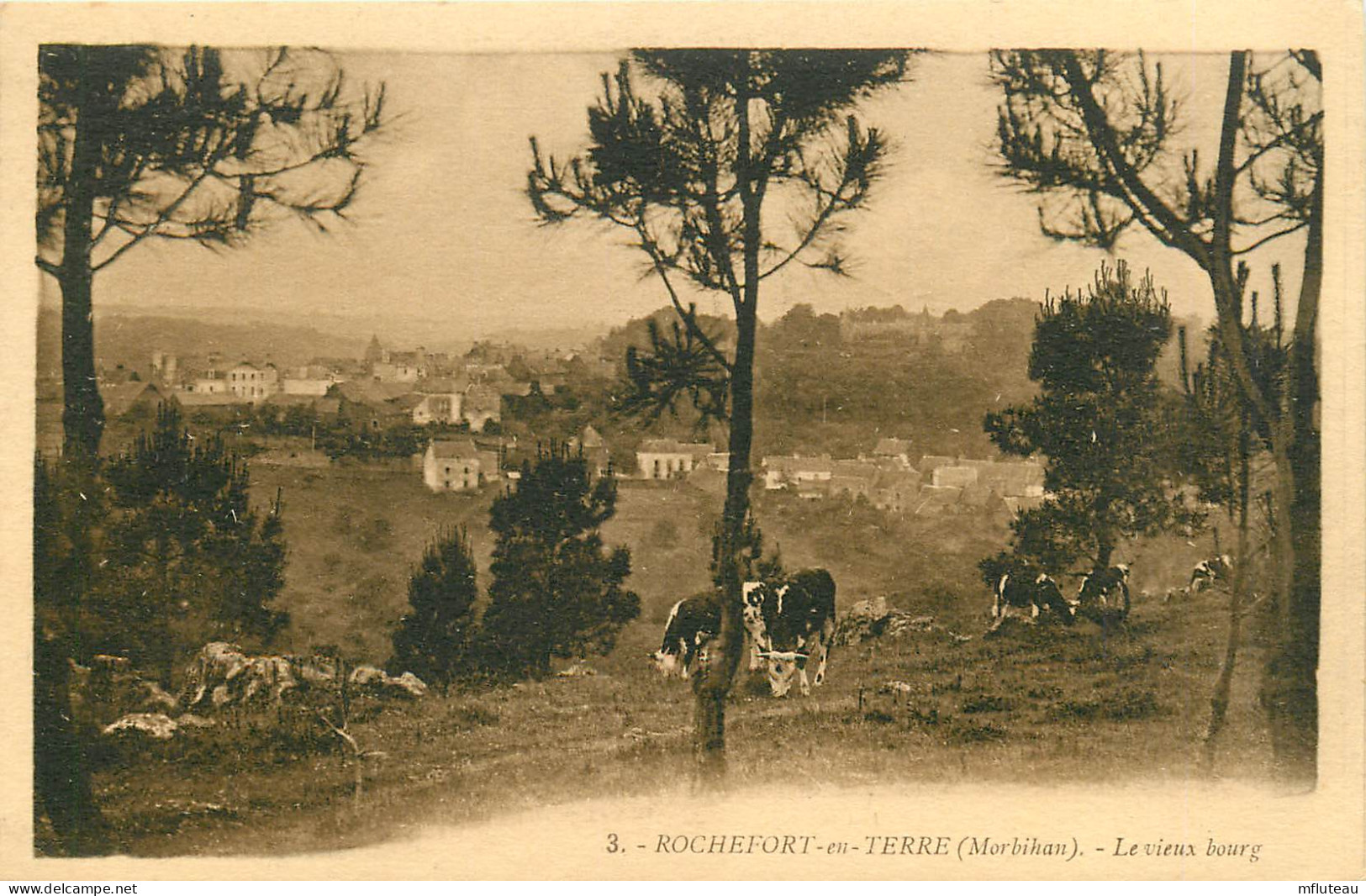 56* ROCHEFORT EN TERRE Le Vieux Bourg      RL11.0844 - Rochefort En Terre