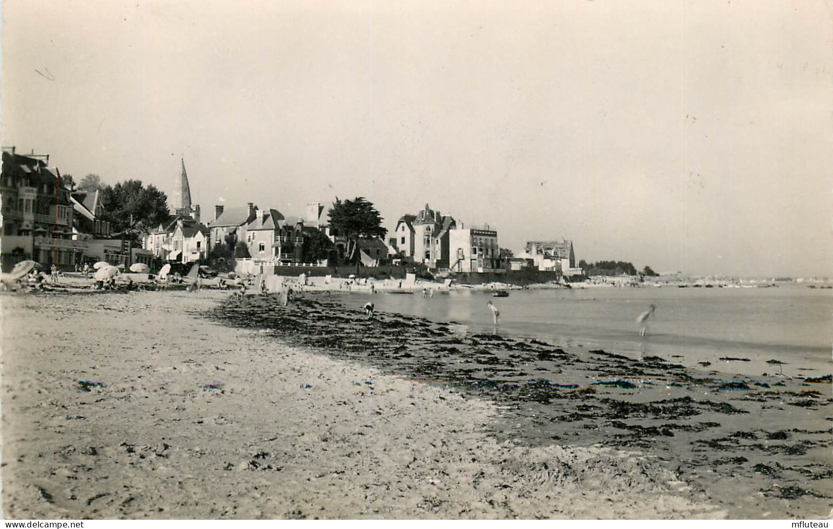 56* LARMOR  La Plage  (CPSM 9x14cm)    RL11.0834 - Larmor-Plage