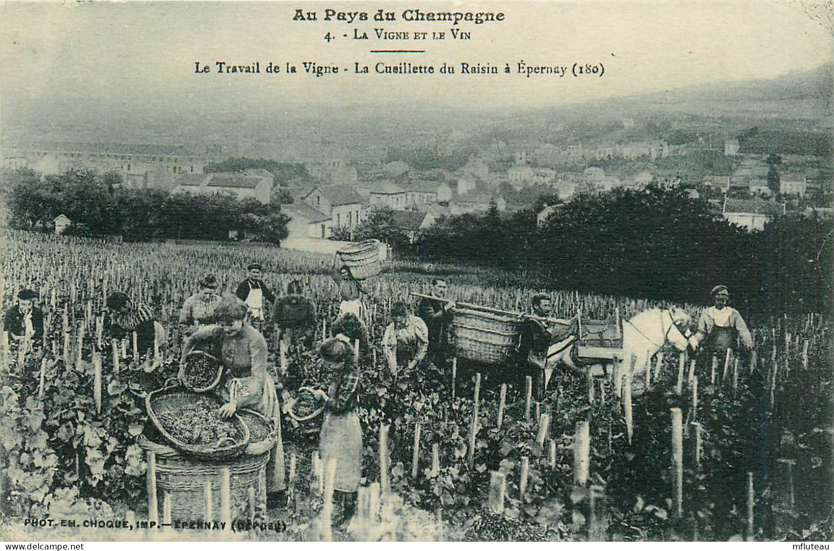 51* EPERNAY  Cueillette Du Raison   RL11.0593 - Weinberge