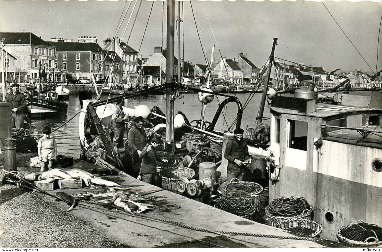 50* ST VAAST LA HOUGUE  Quais  Retour De Peche  (CPSM 9x14cm)   RL11.0540 - Saint Vaast La Hougue