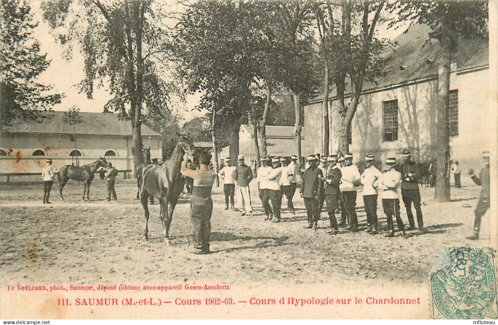 49* SAUMUR  Cavalerie  Cours D Hypologie   RL11.0433 - Saumur