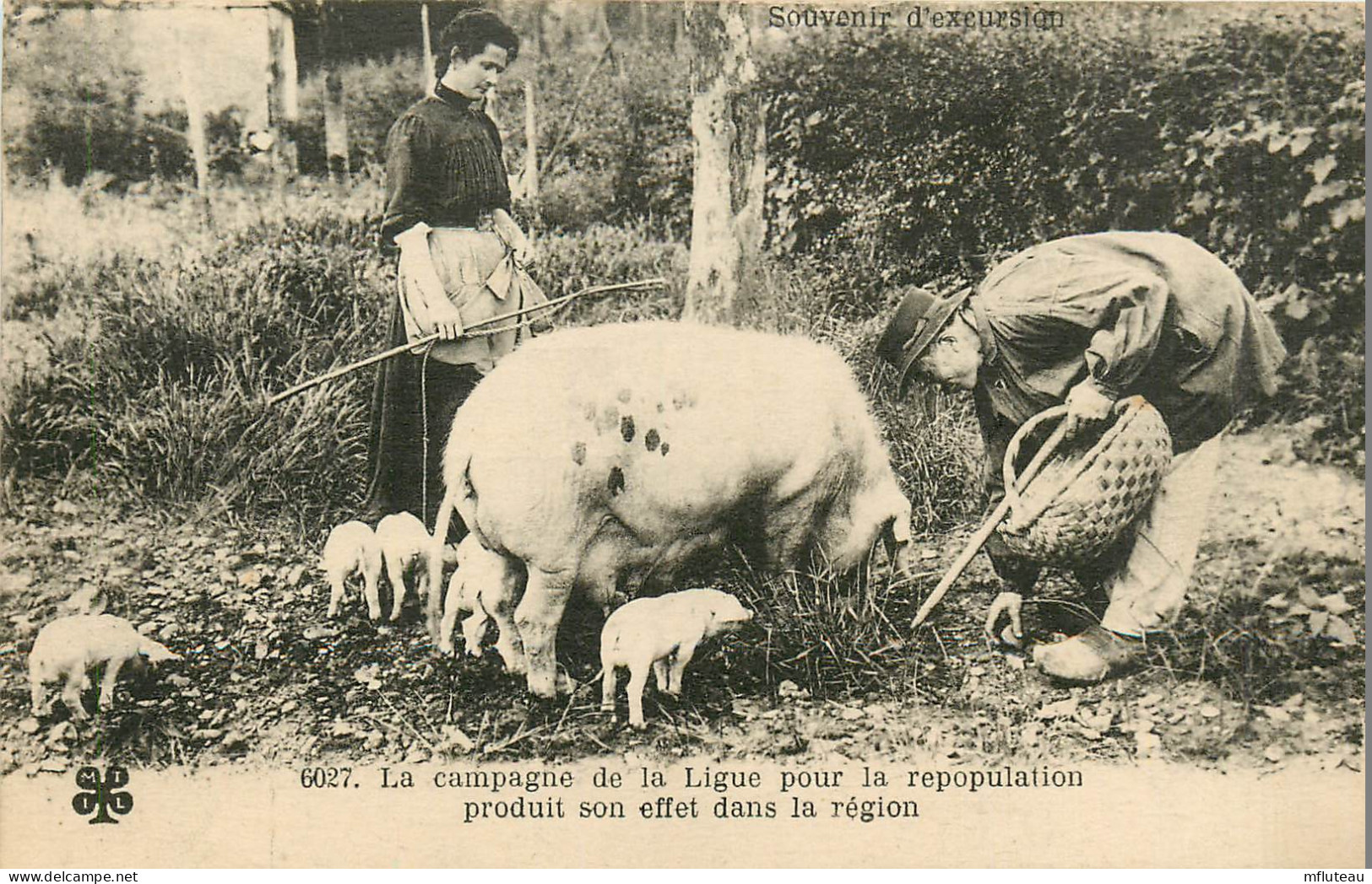 PAYSANS  Ligue Pour La Repopulation  Cochons  Truffiers   RL11.0355 - Farmers