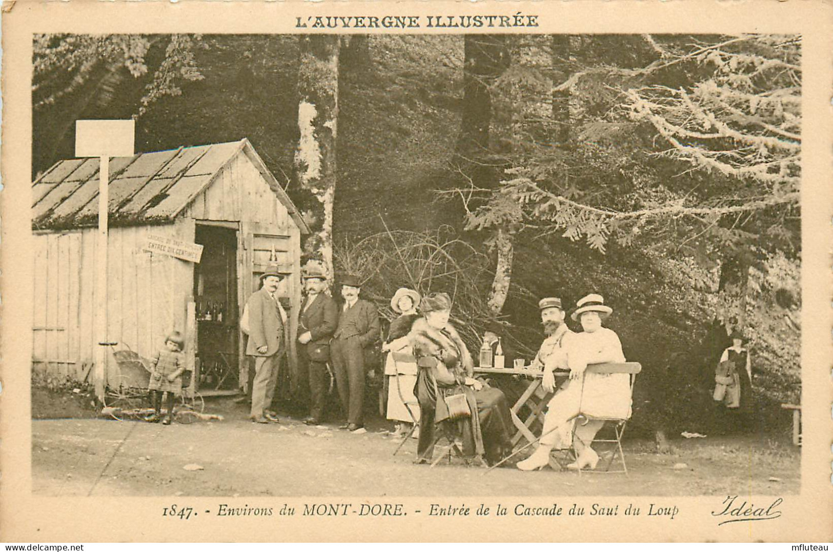 63* MONT DORE   Cascade Saut Du Loup       RL12.0228 - Le Mont Dore