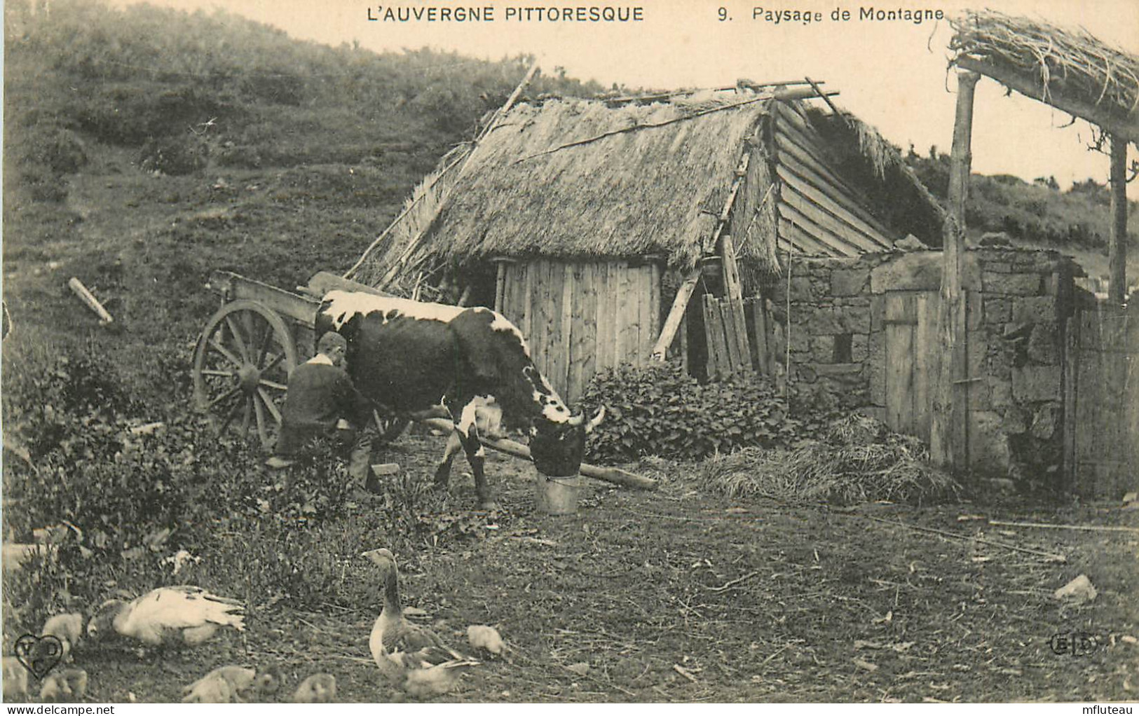 63*  AUVERGNE  Paysage De Montagne    RL12.0177 - Other & Unclassified