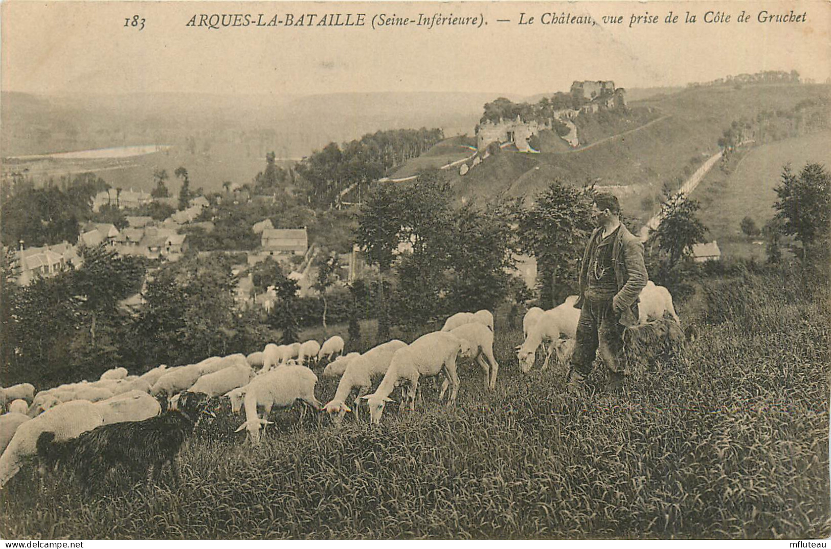 76* ARQUES LA BATAILLE Moutons Au Paturage     RL12.1048 - Veeteelt
