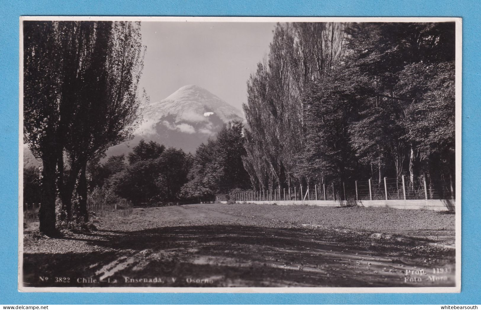 751 CHILE LA ENSENADA Y OSORNO REAL PHOTO RARE  POSTCARD SIZE - Amérique