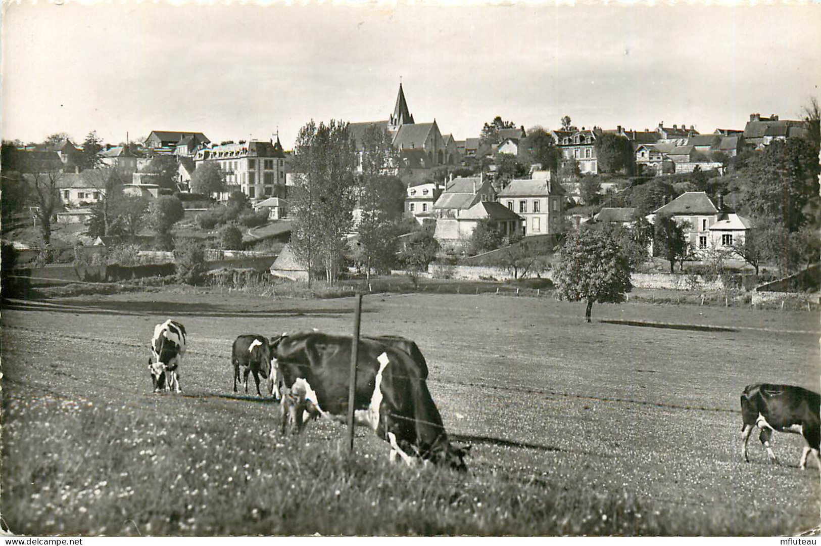 74* ST GERVAIS  Vue Generale  CPSM (9x14cm)    RL12.0832 - Saint-Gervais-les-Bains