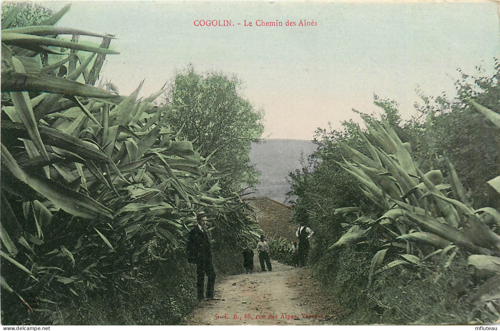 83* COGOLIN Le Chemin Des Aloes      RL13.0418 - Cogolin