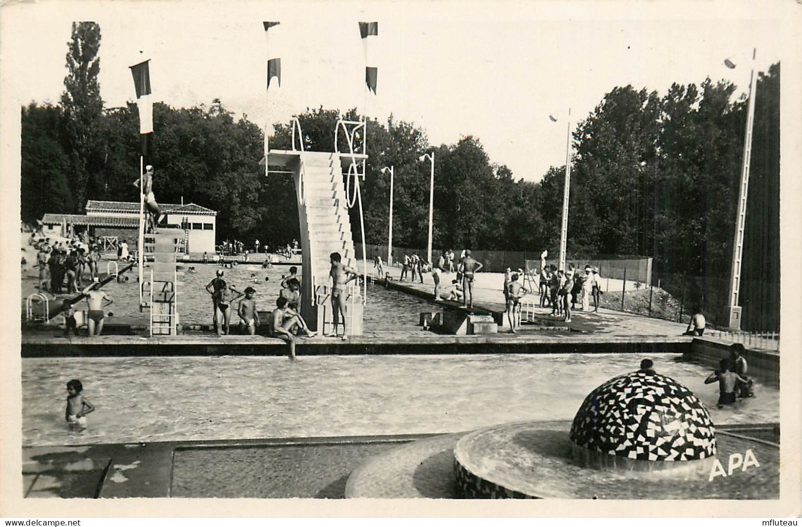 81* ALBI  Piscine Olympique   (CPSM 9x14cm)    RL13.0352 - Albi