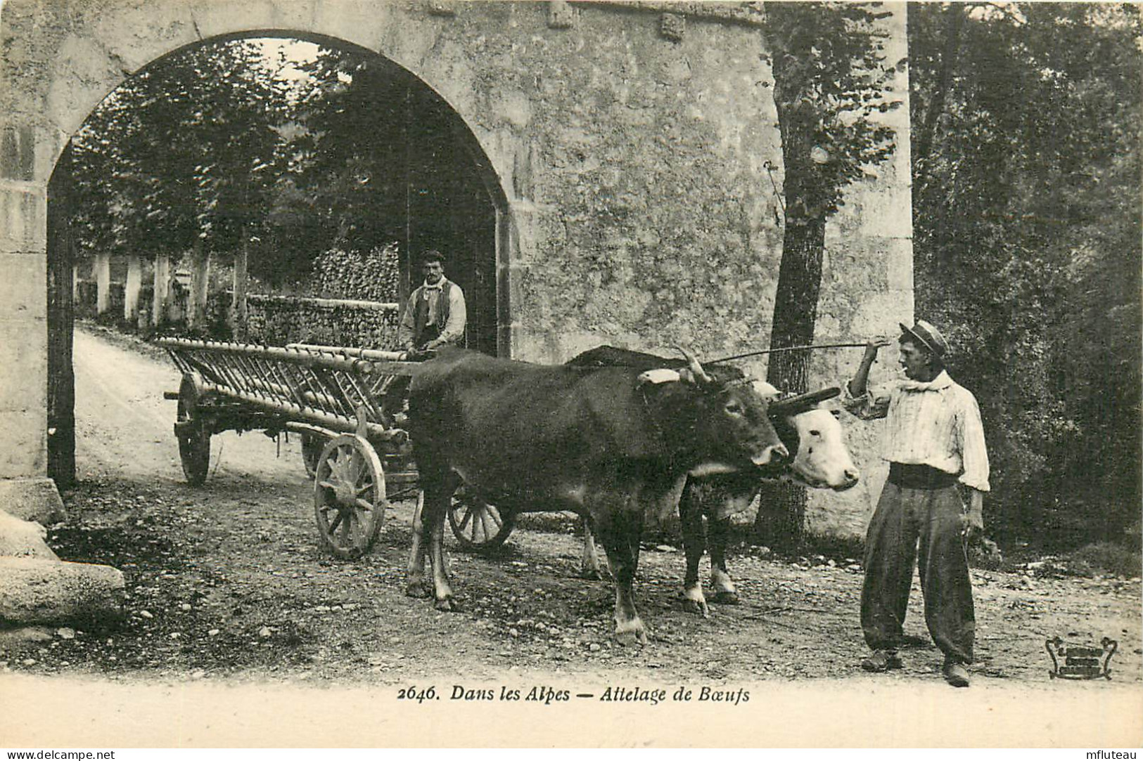 AGRICULTURE  Attelage De Bufs Dans Les Alpes     RL12.1465 - Wagengespanne