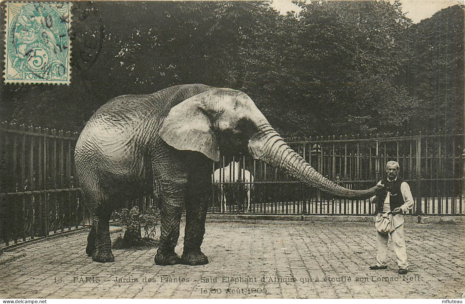 75* PARIS (5)   Jardin Des Plantes    « said » Elephant D Afrique RL27,0242 - District 05