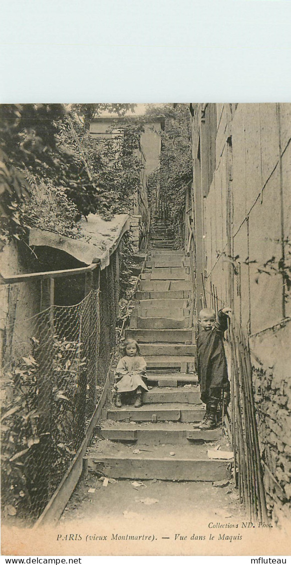 75* PARIS (18)   Montmartre -  Vue Dans Le Maquis      RL27,0811 - Distretto: 16