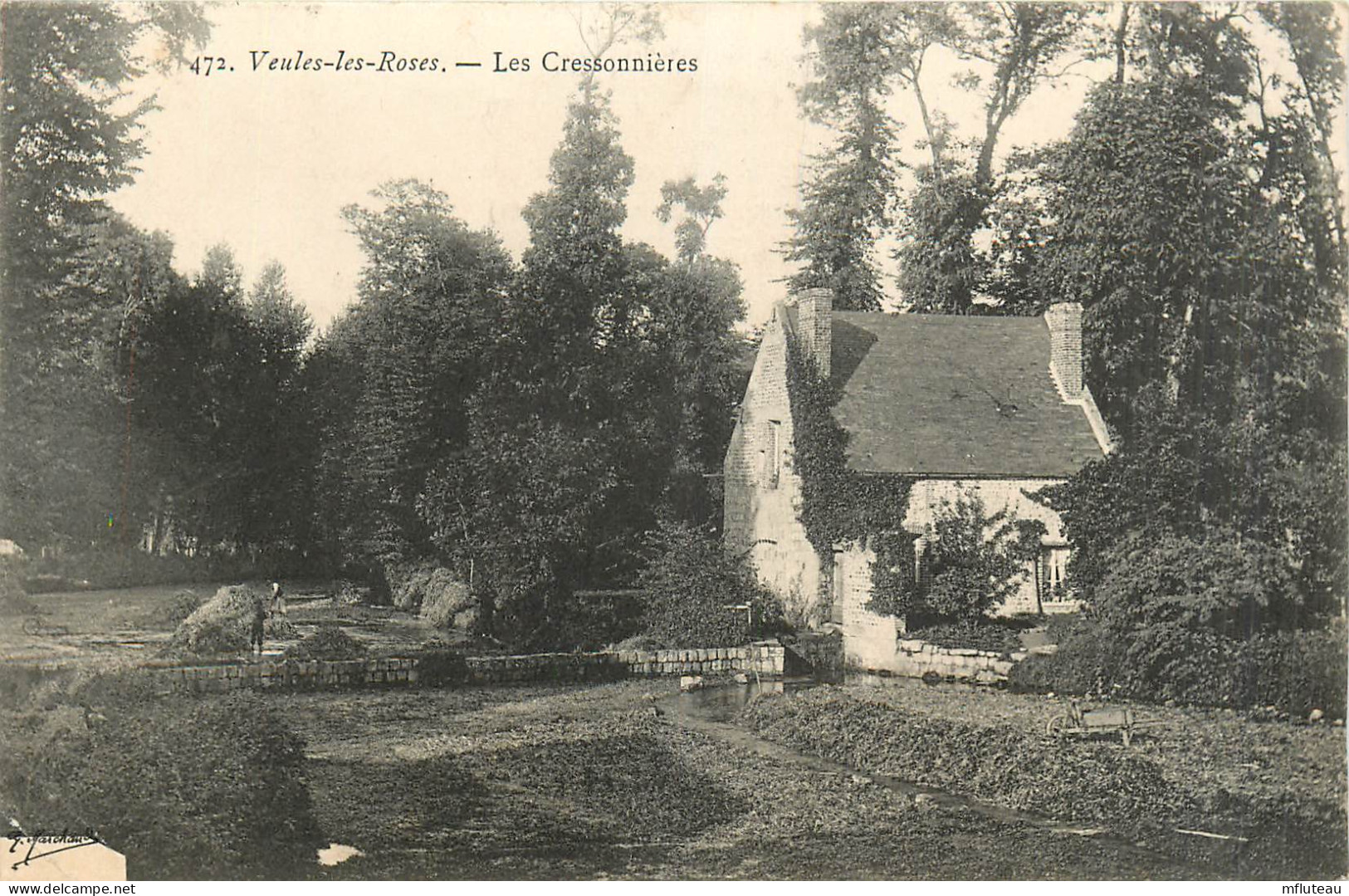 76* VEULES LES ROSES    Les Cressonnieres   RL27,1510 - Veules Les Roses