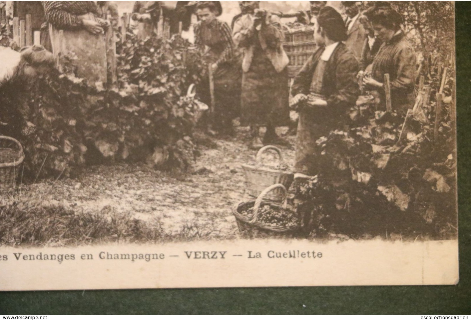 Carte Postale Vendangeurs Vendages Champagne Verzy La Cueillette - Other & Unclassified