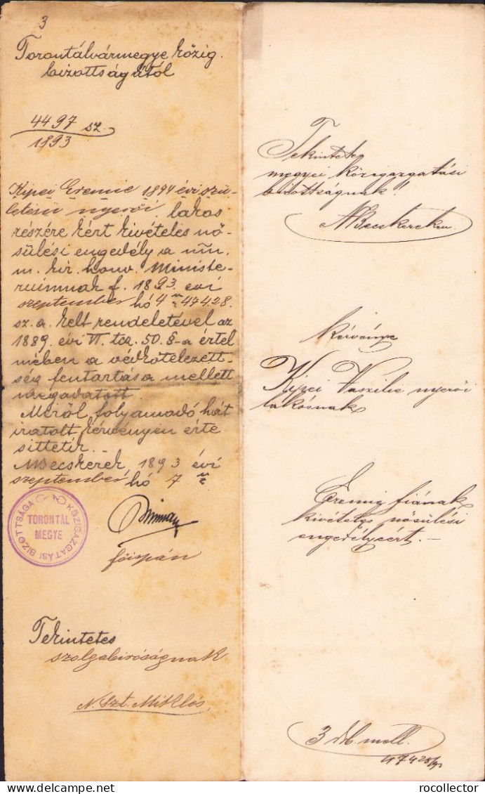 Zombori Rónay Jenő Alairasa, Torontal Varmegye Foispan, 1893 A2504N - Collezioni