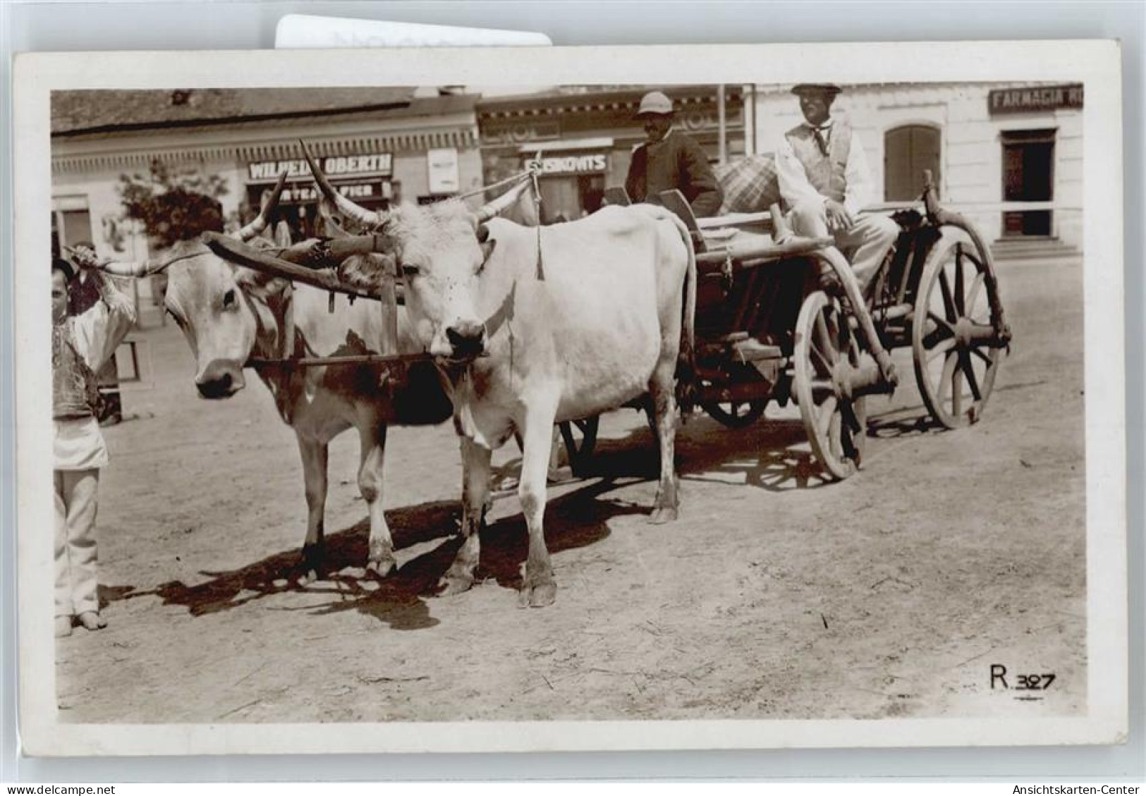 50613911 - Auf Dem Weg Zum Markt - Taureaux