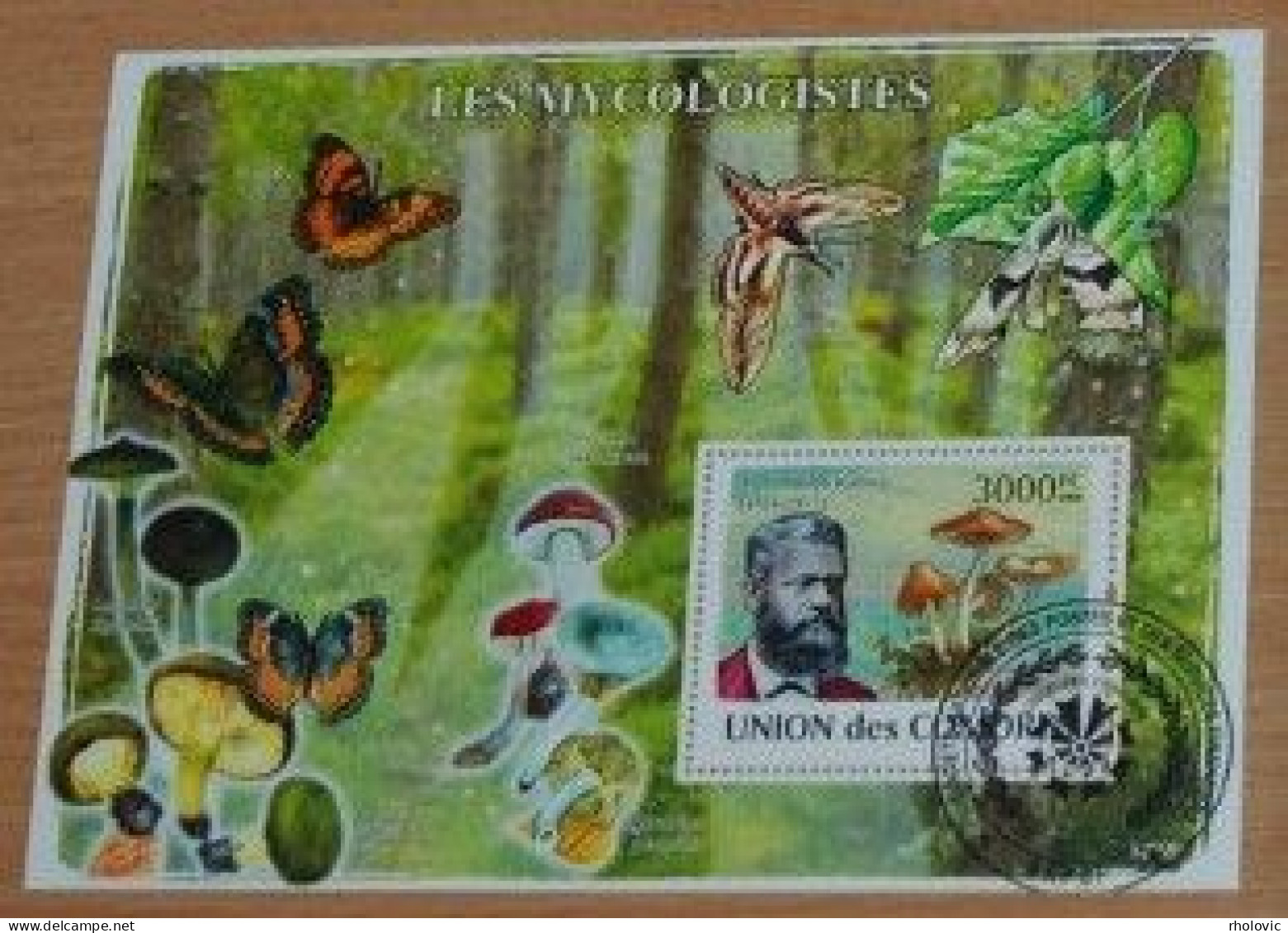 COMORES 2008, Mycologists, Mushrooms, Butterflies, Souvenir Sheet, Used - Pilze