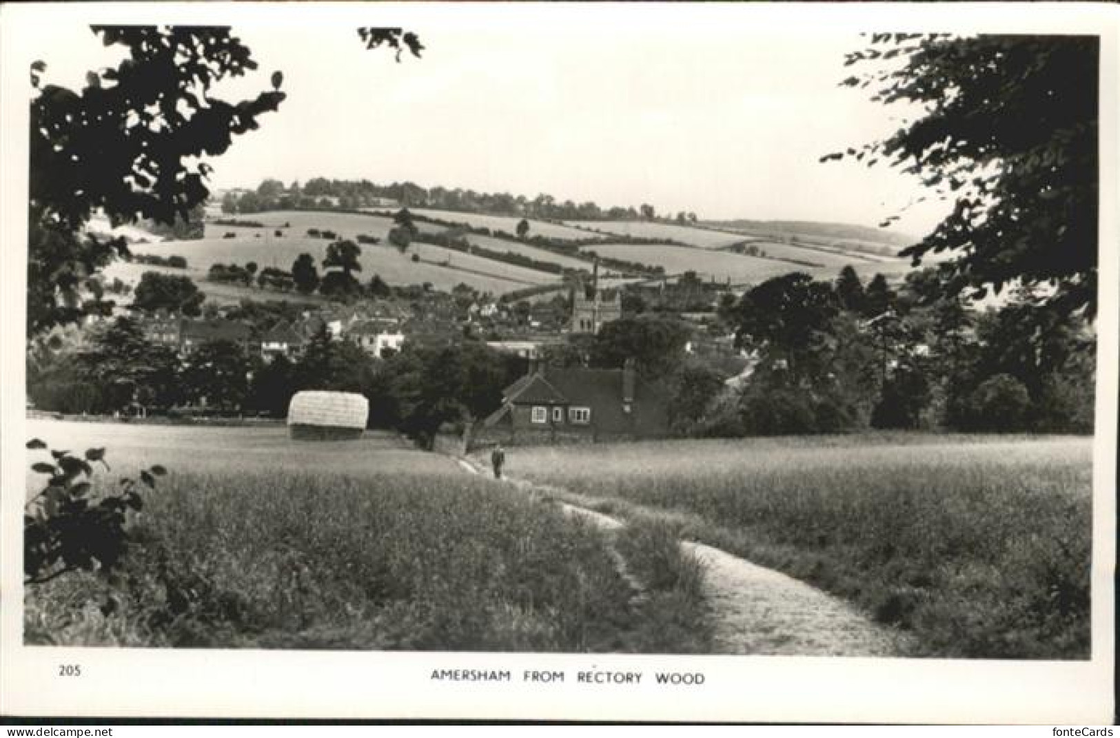 11003999 Amersham-on-the-Hill Rectory Wood Chiltern - Buckinghamshire