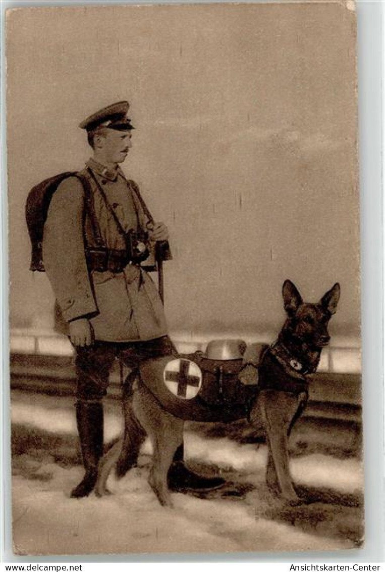51818111 - Wohlfahrtspostkarte Sanitaetshund - Red Cross
