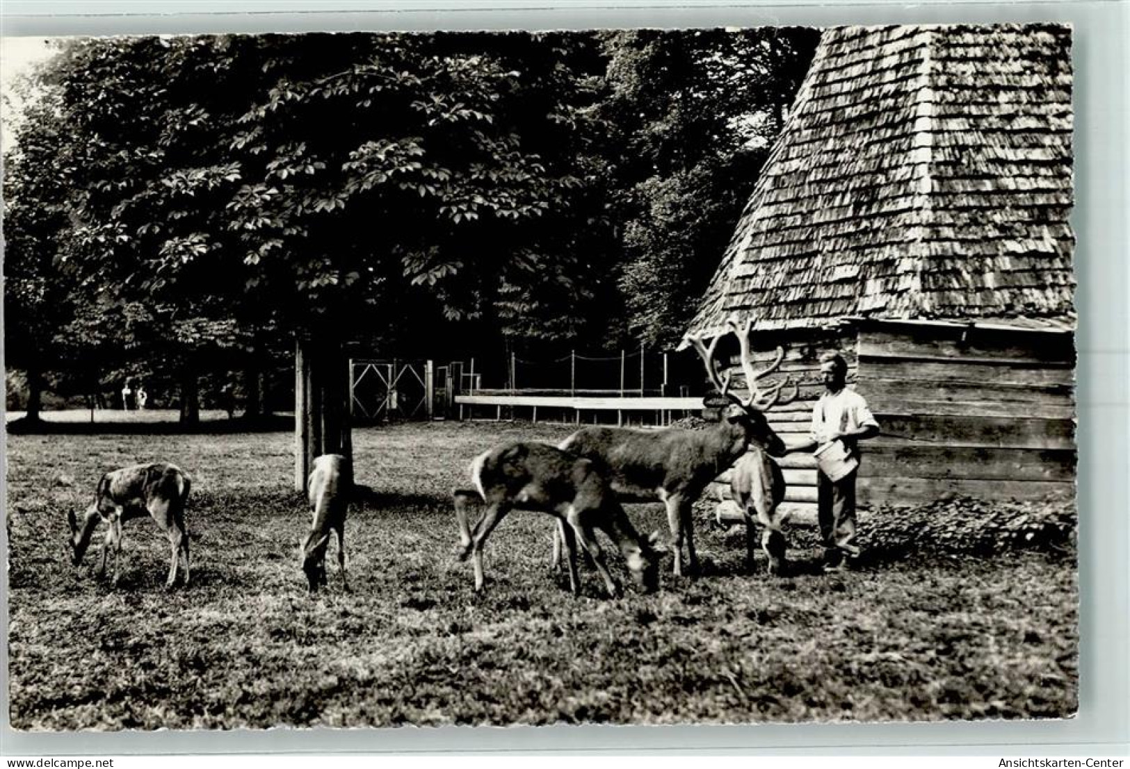 10392311 - Zofingen - Autres & Non Classés