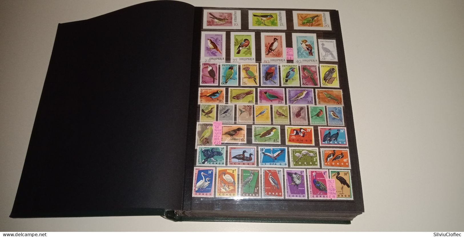 Birds Superb Stamp Collection,MNH(please Read Description)including 2 Leuchtturm PREMIUM Album With Slipcase A4 64 Pages - Collections, Lots & Series