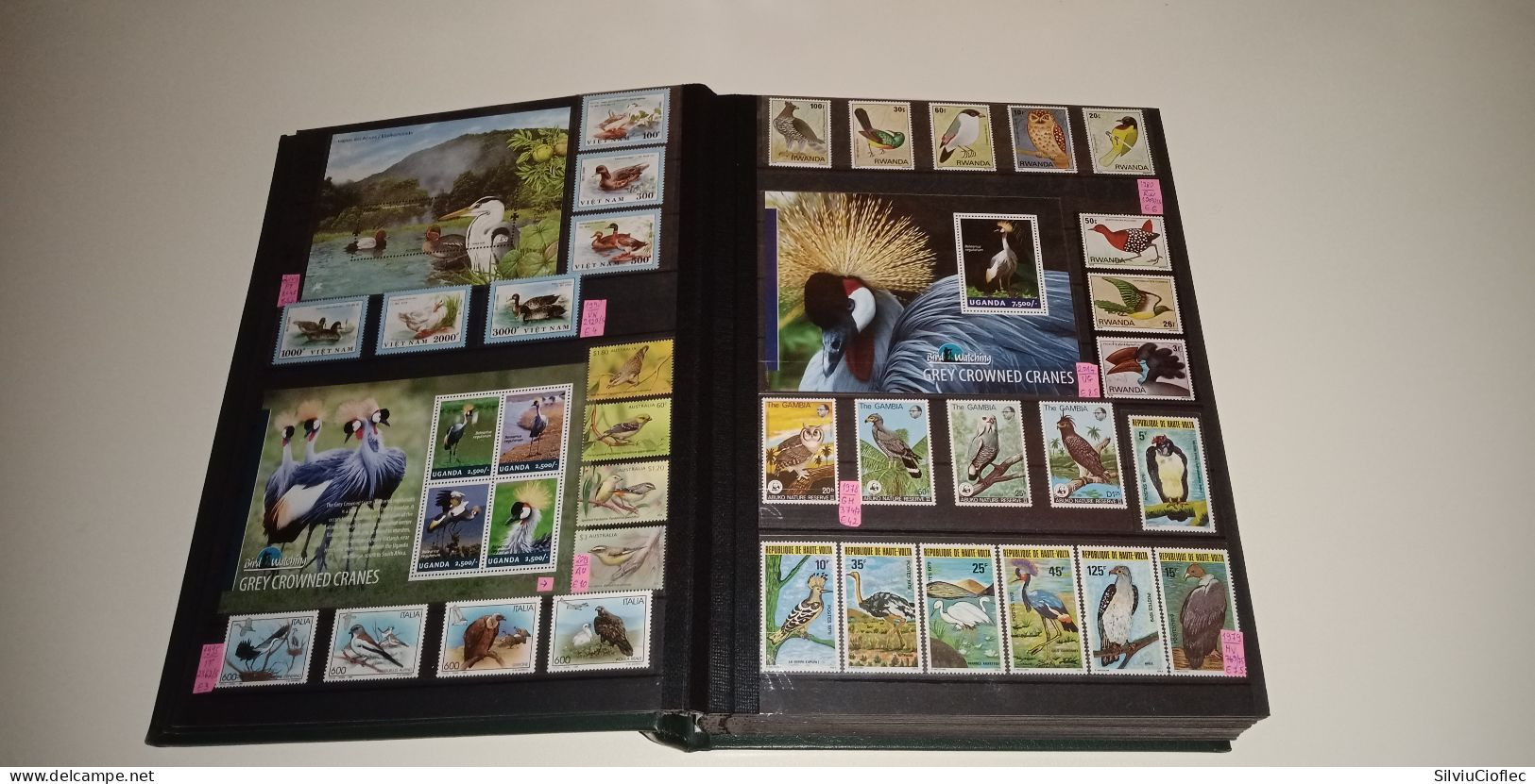 Birds Superb Stamp Collection,MNH(please read description)including 2 Leuchtturm PREMIUM album with slipcase A4 64 pages